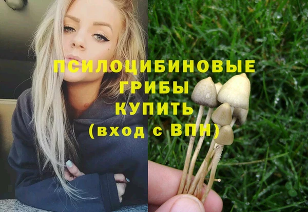дурь Богородицк