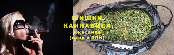PSILOCYBIN Белокуриха