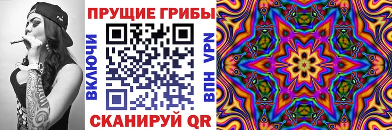 купить   Дудинка  blacksprut ссылка  Псилоцибиновые грибы MAGIC MUSHROOMS 